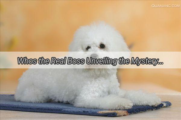 Whos the Real Boss Unveiling the Mystery Behind the Big Yellow Dog Memes Iconic Pup